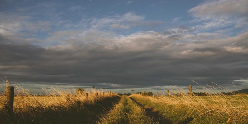 南通全汇：以精密制造赋能智能加药，如何精准削减30%污水处理药剂成本？