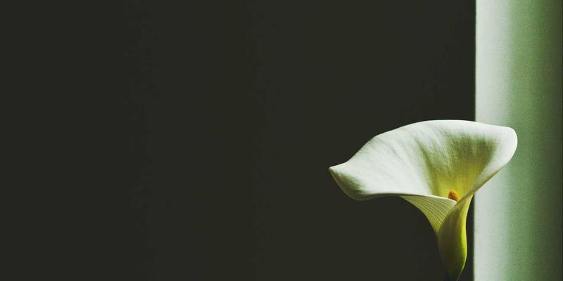 南通全汇环保设备：以定制化工业解决方案，构筑企业绿色竞争力