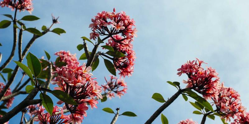 破局电镀园区环保难题:南通全汇重金属污泥减量化与资源化设备的定制化解决方案